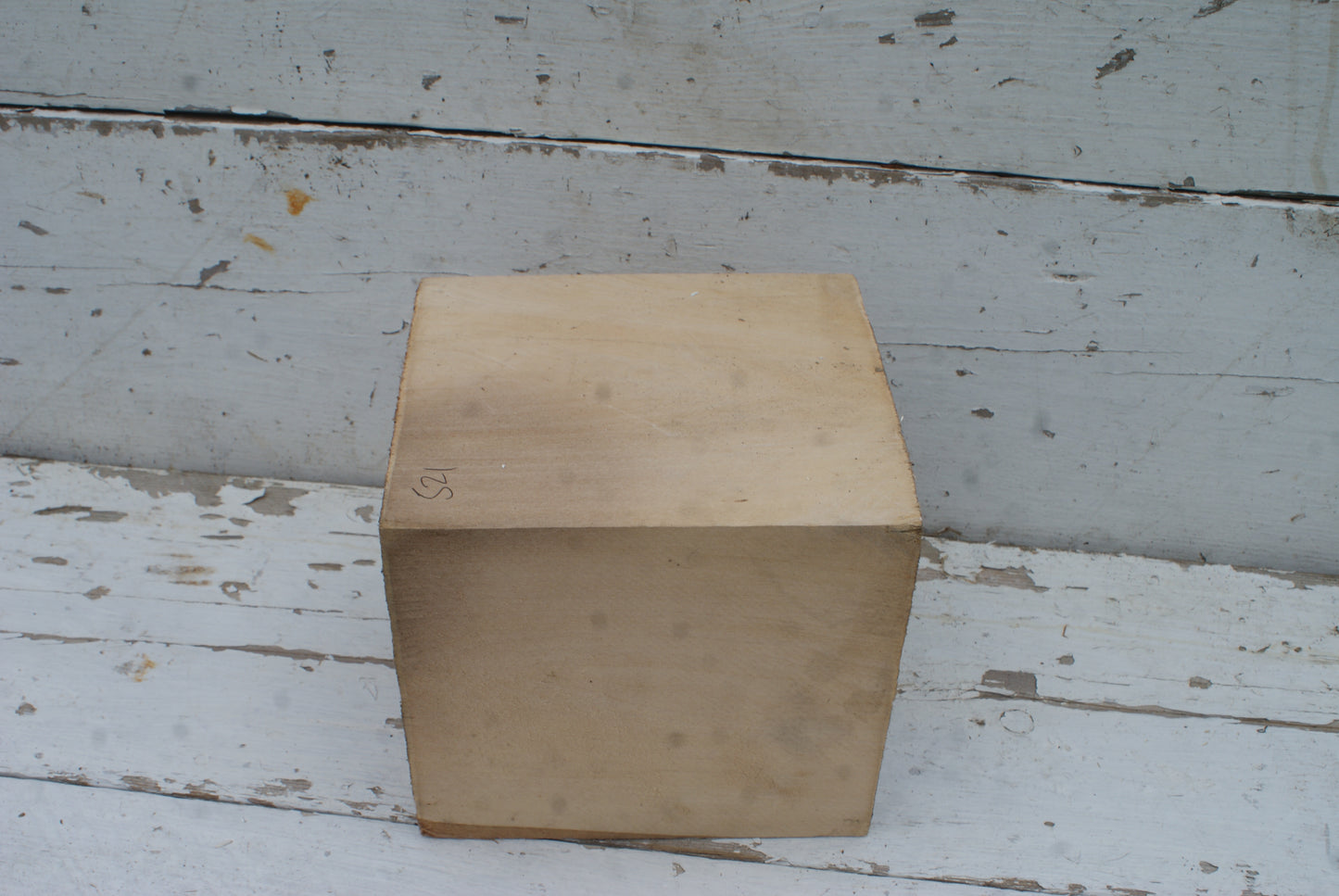 Wood Carving Lime Blocks  180 L x 160 W x 165 D (mm)      (521)