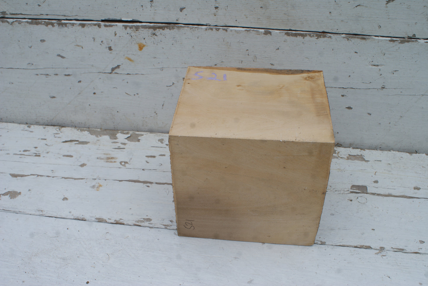 Wood Carving Lime Blocks  180 L x 160 W x 165 D (mm)      (521)