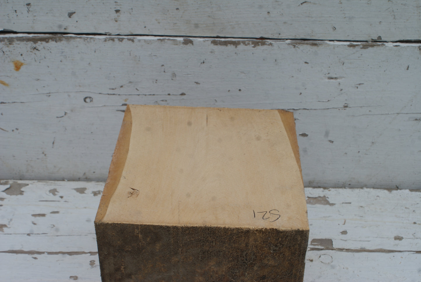 Wood Carving Lime Blocks  180 L x 160 W x 165 D (mm)      (521)