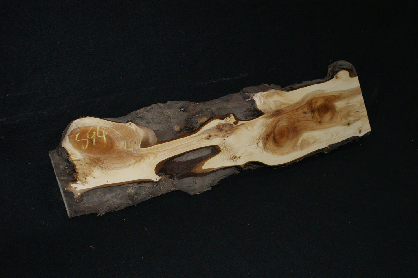 English Yew Shelf. (594)