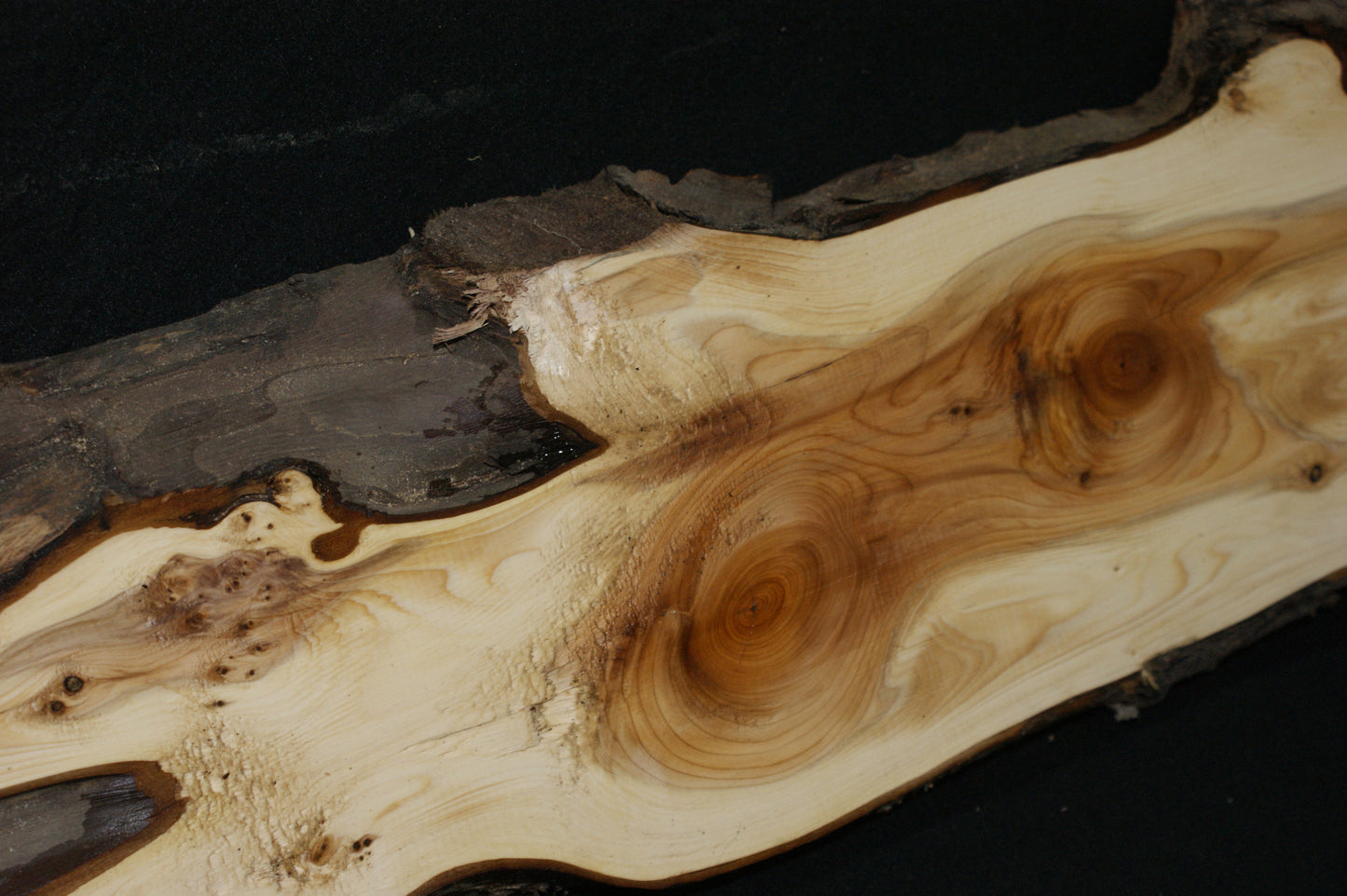 English Yew Shelf. (594)