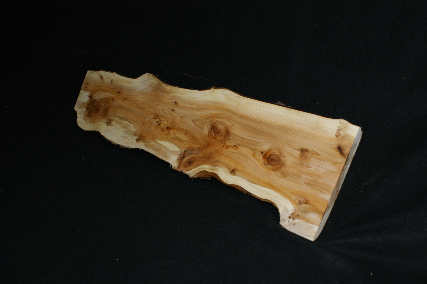 English Yew Shelf. (594)