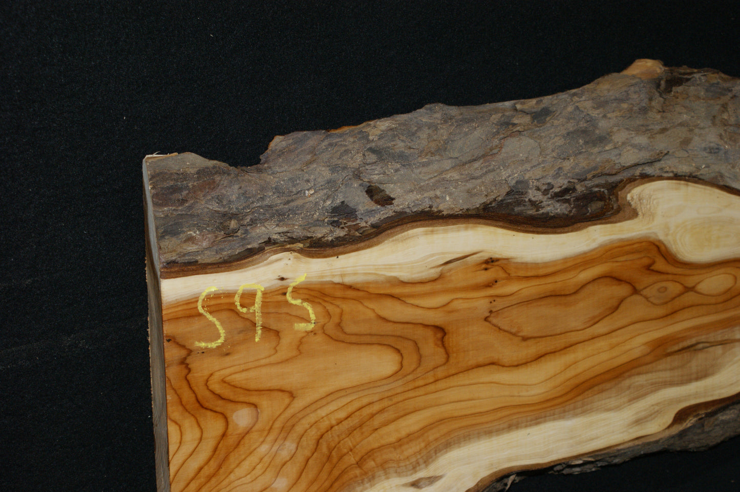 English Yew Shelf. (595)