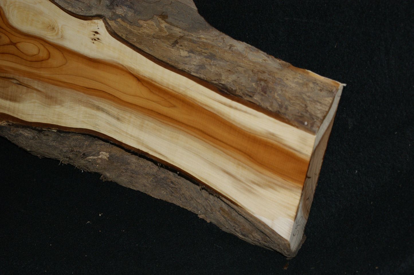 English Yew Shelf. (595)