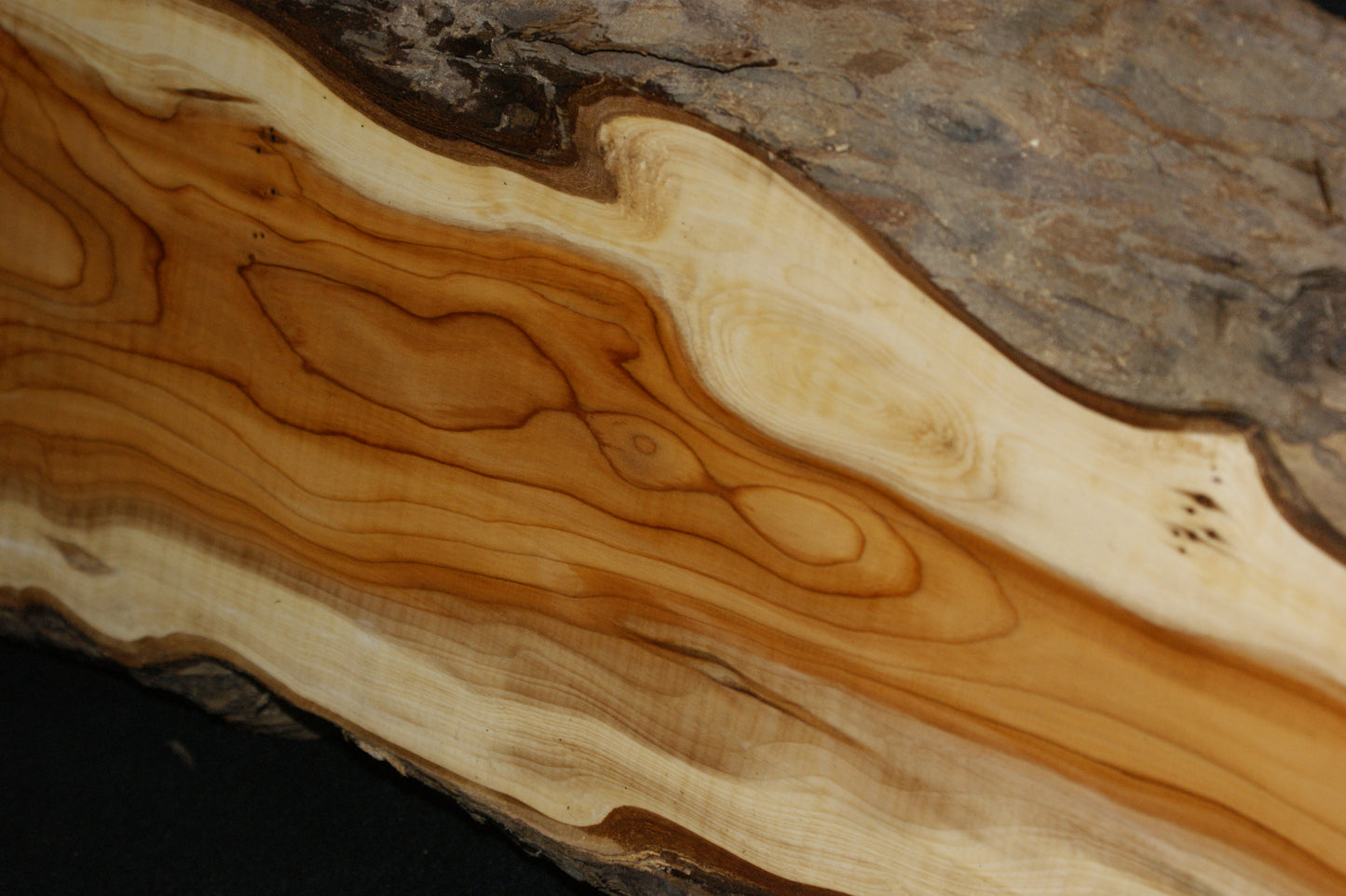 English Yew Shelf. (595)