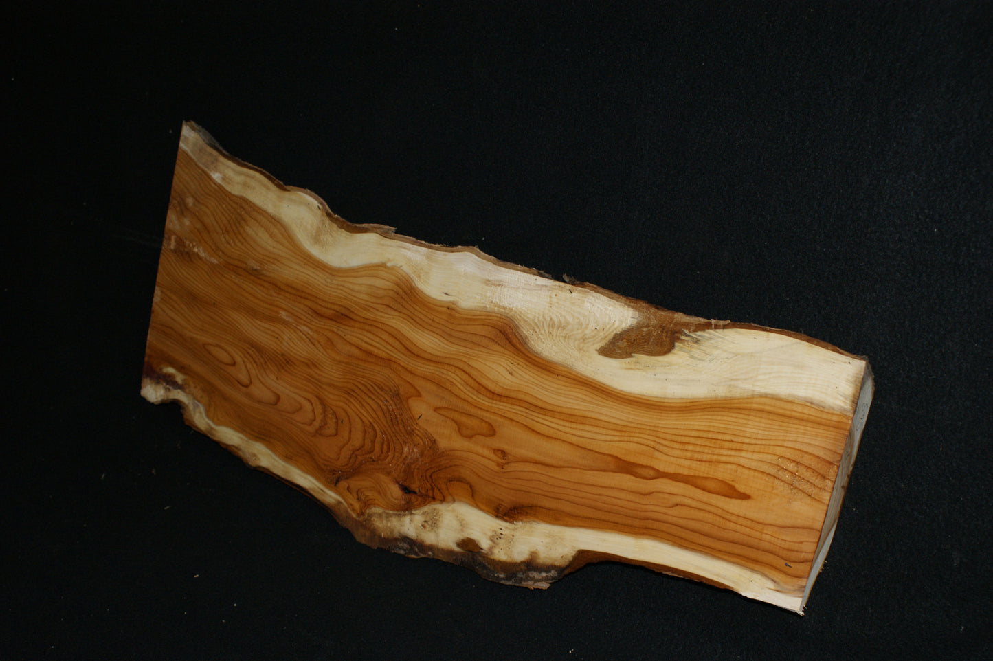 English Yew Shelf. (595)