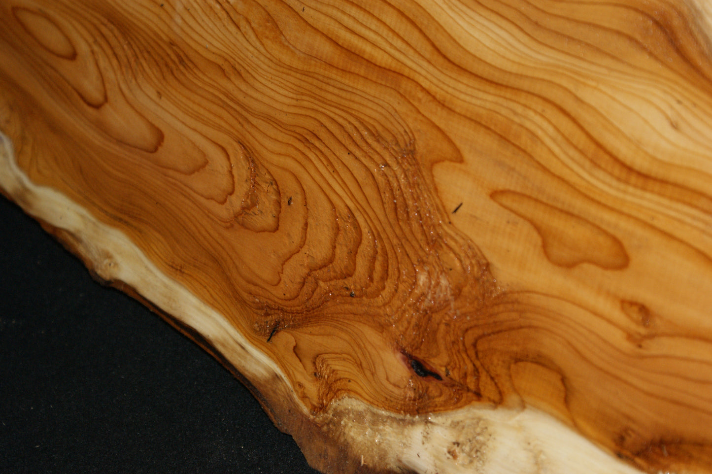 English Yew Shelf. (595)