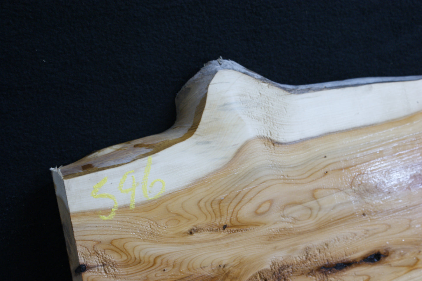 English Yew Shelf. (596)