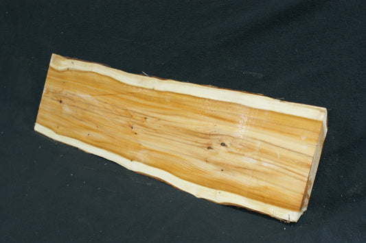 English Yew Shelf. (597)