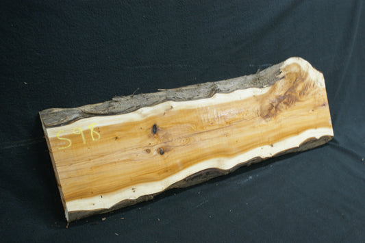 English Yew Shelf. (598)