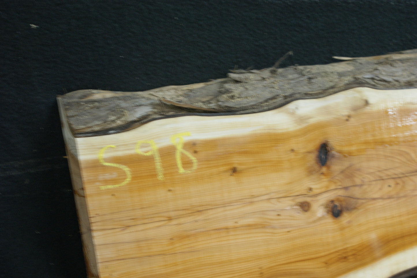 English Yew Shelf. (598)