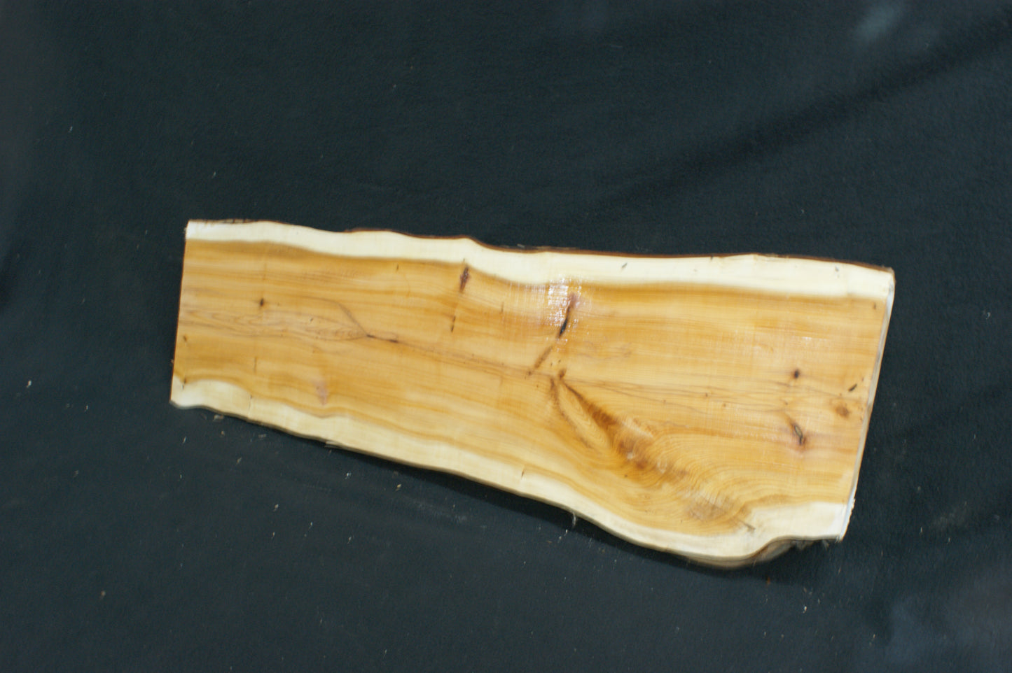 English Yew Shelf. (598)