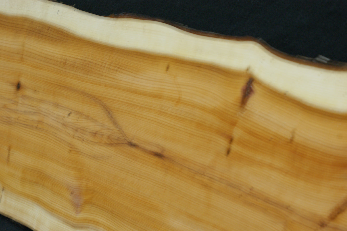 English Yew Shelf. (598)