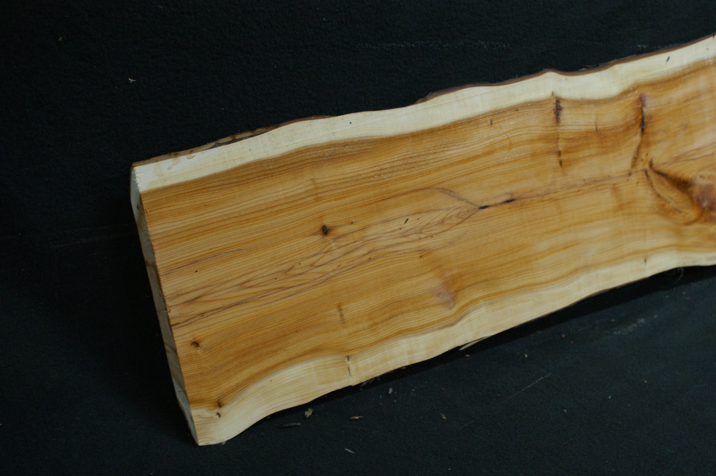 English Yew Shelf. (598)