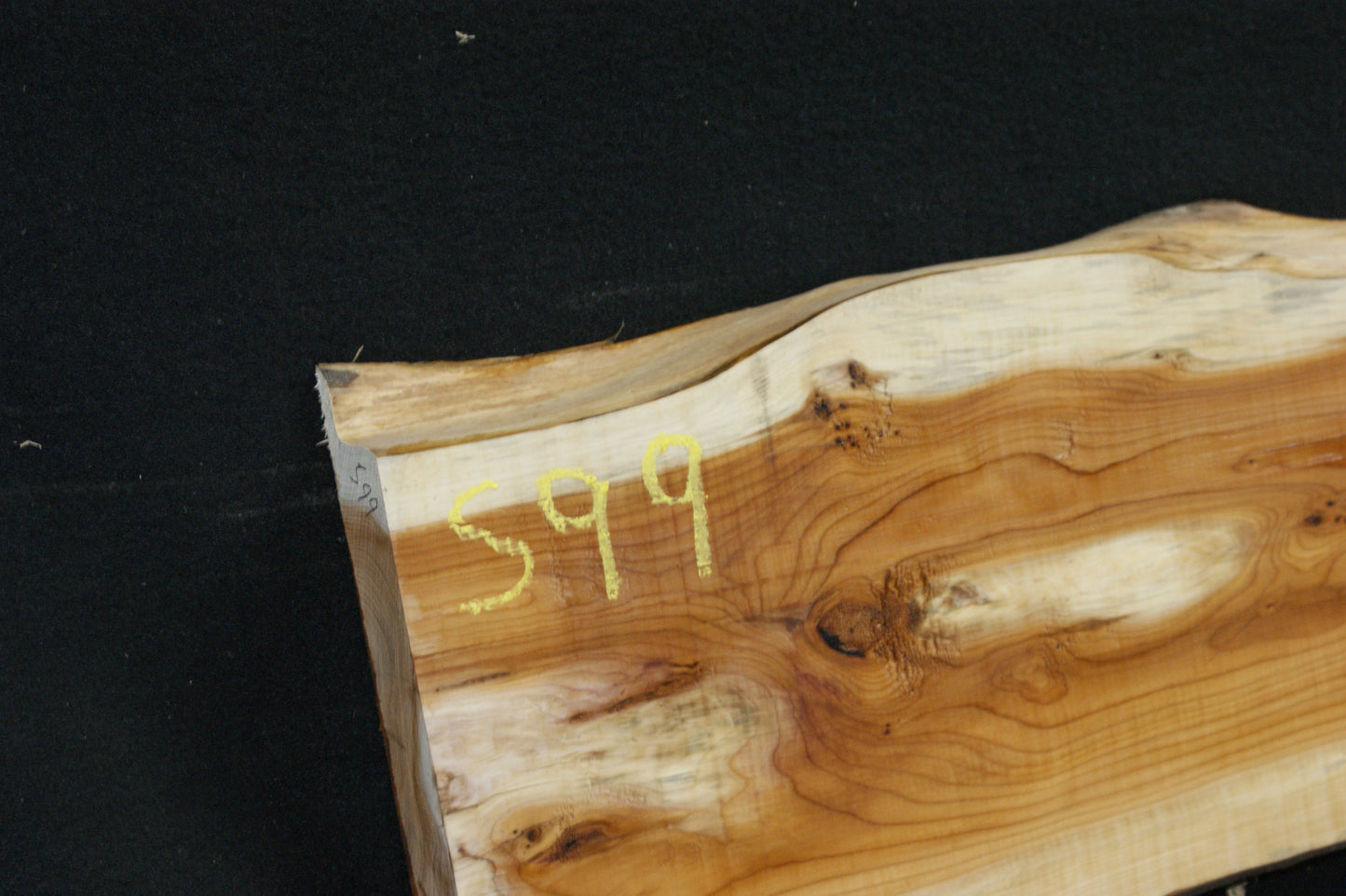 English Yew Shelf. (599)