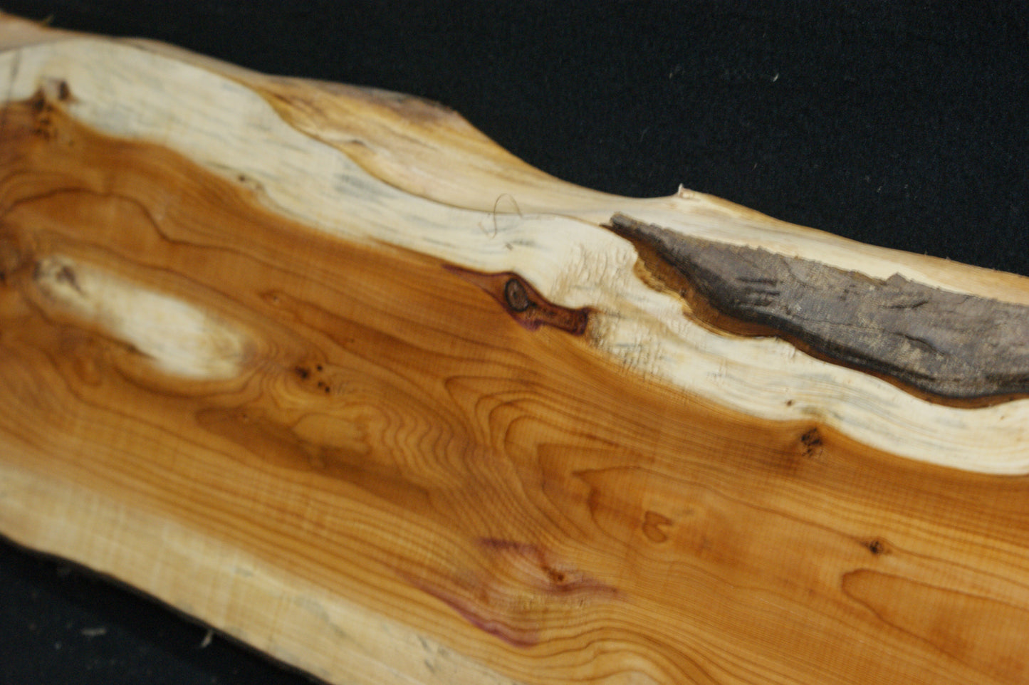 English Yew Shelf. (599)