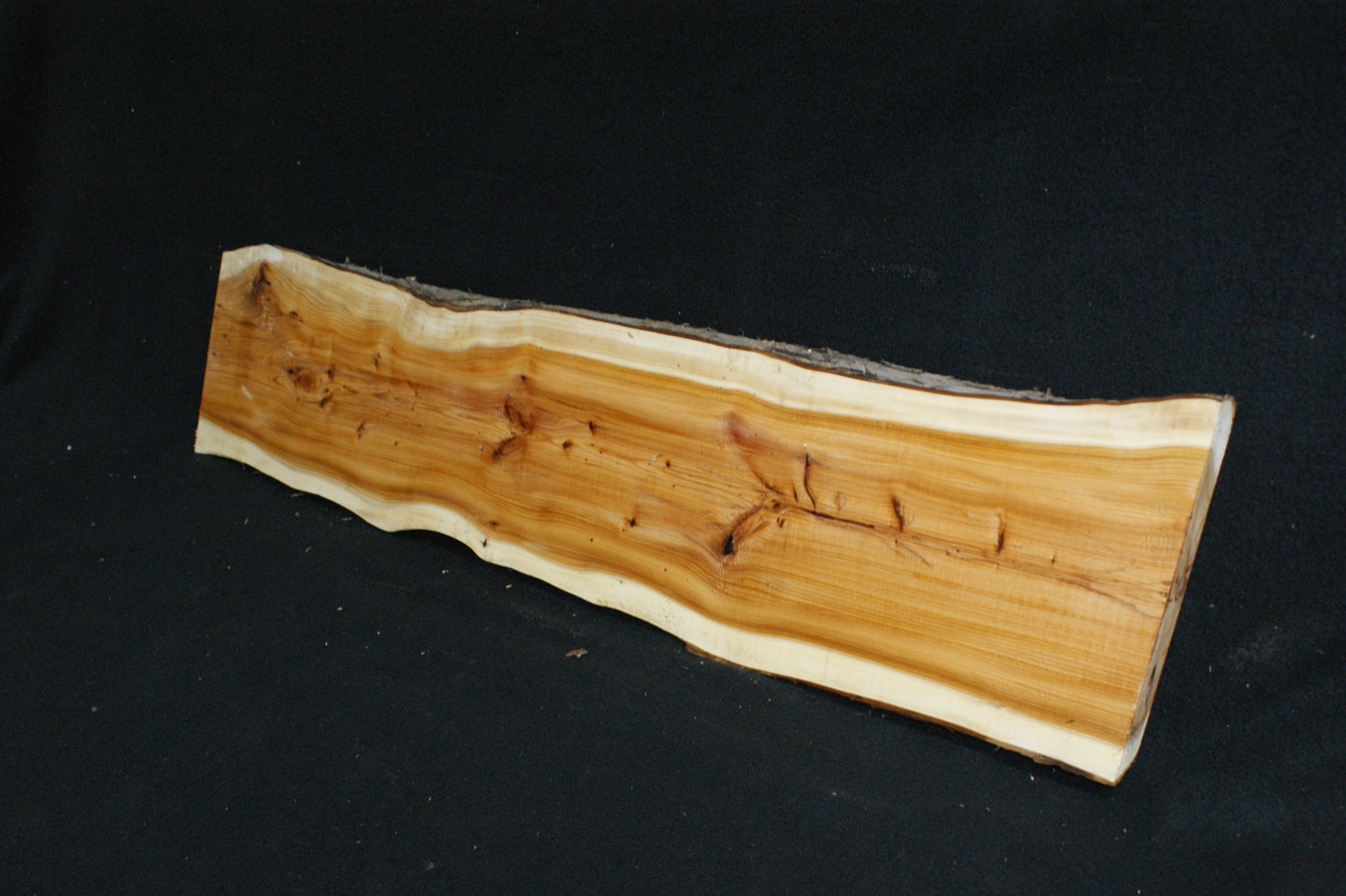 English Yew Shelf. (599)