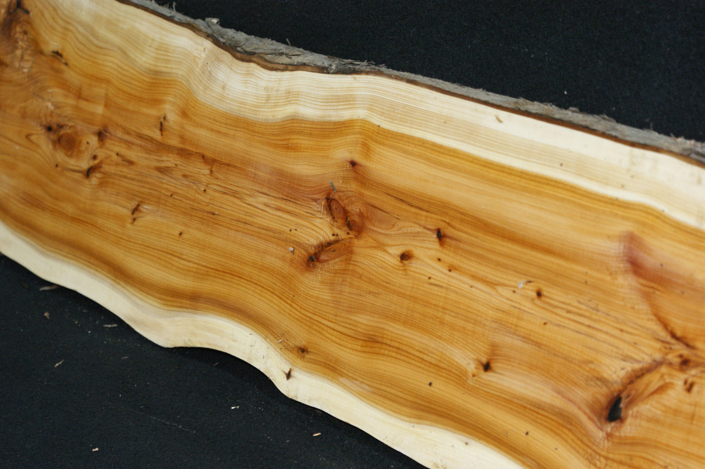 English Yew Shelf. (599)