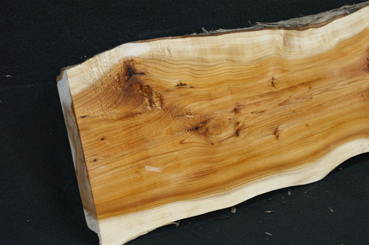 English Yew Shelf. (599)