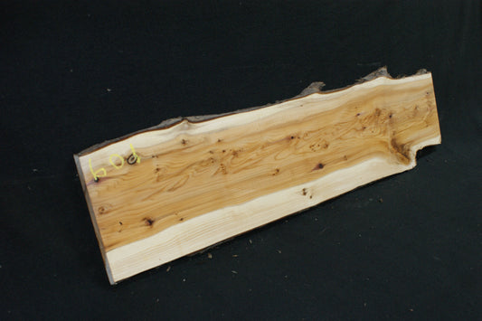English Yew Shelf. (601)