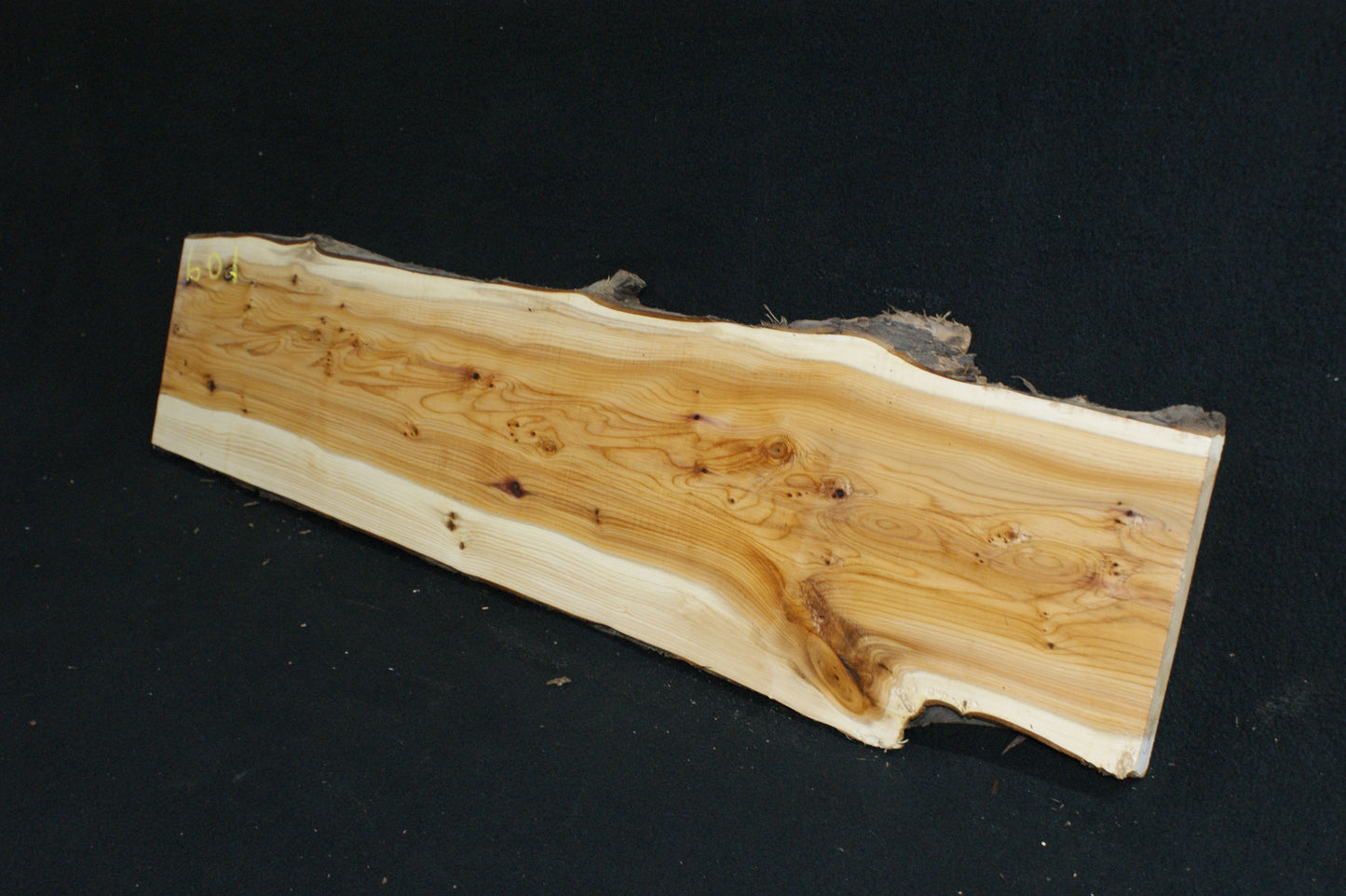 English Yew Shelf. (601)