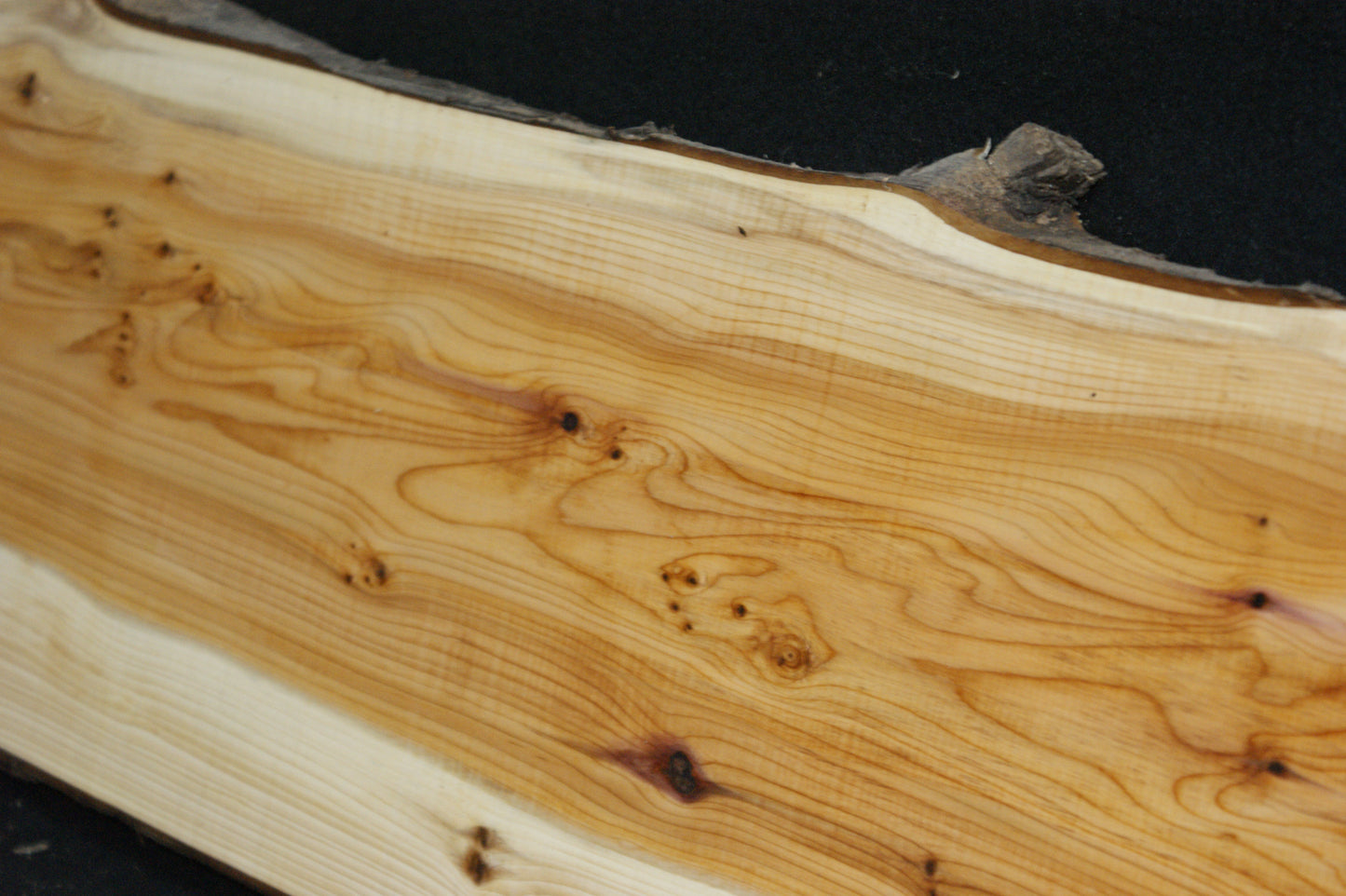 English Yew Shelf. (601)