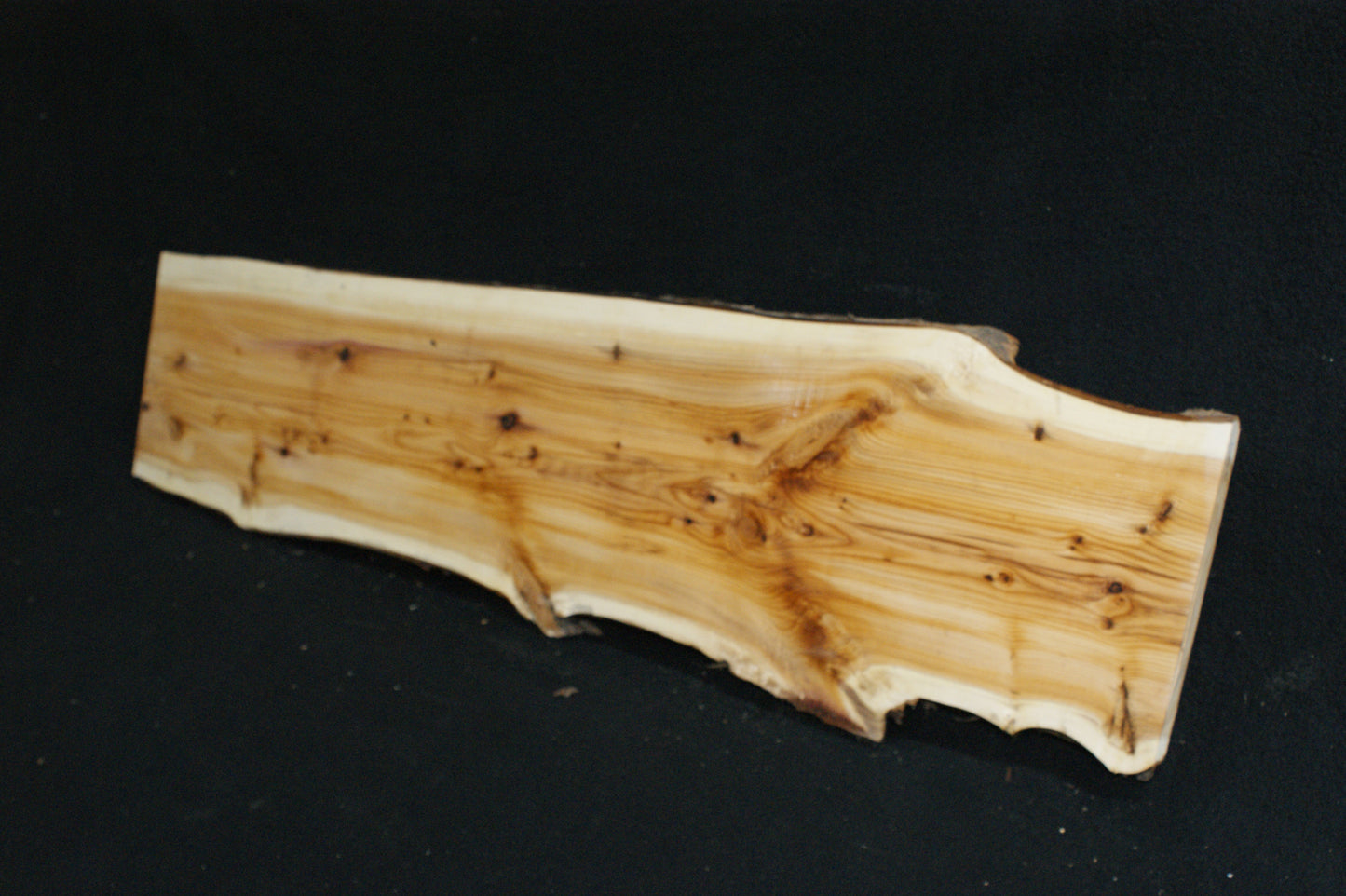 English Yew Shelf. (601)