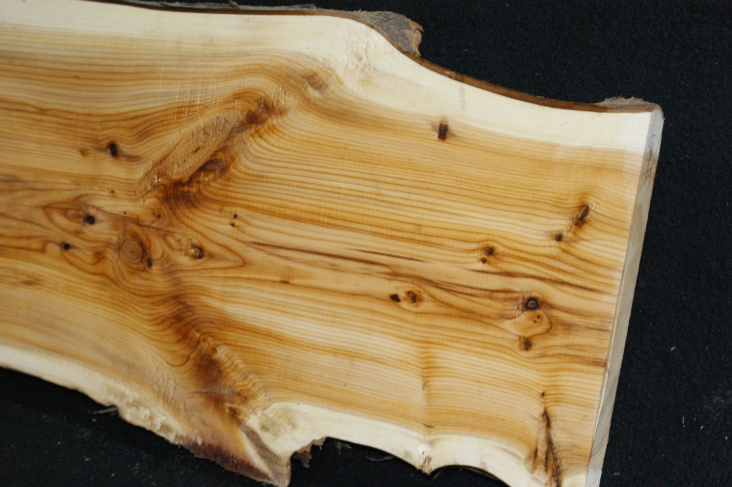 English Yew Shelf. (601)