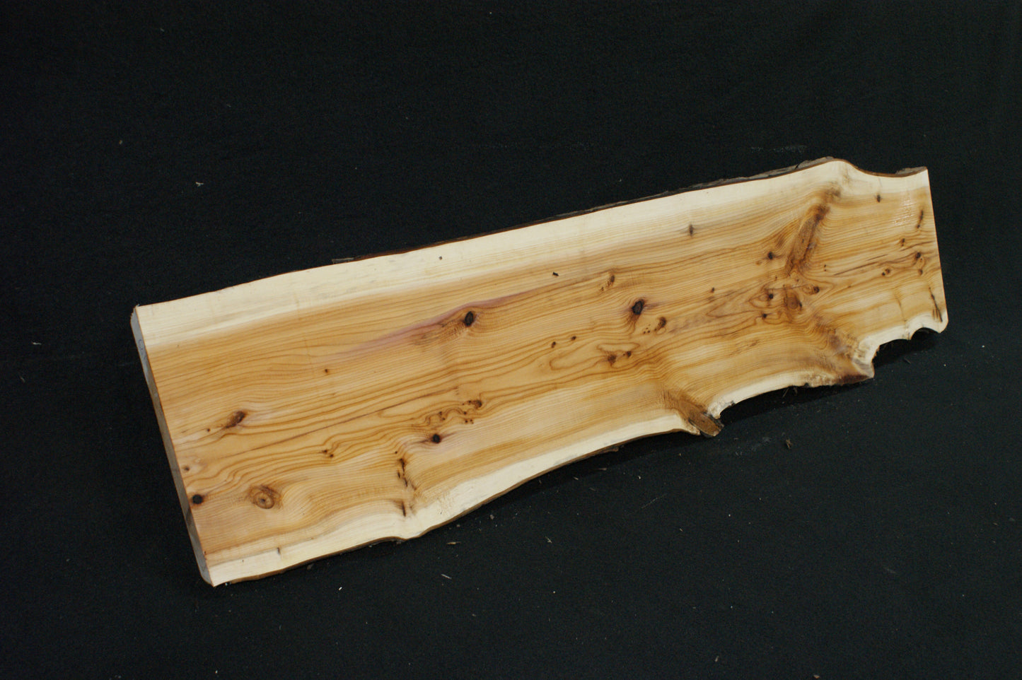 English Yew Shelf. (601)