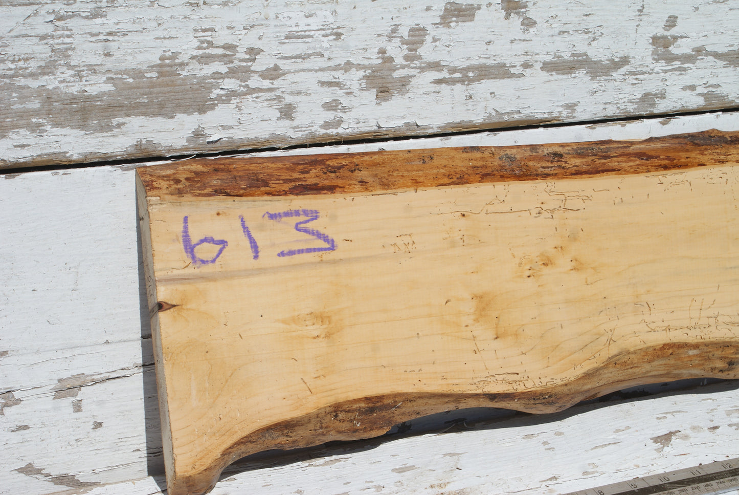 English Yew  1199 L x 205-160 W x 21 D (mm)    (613)