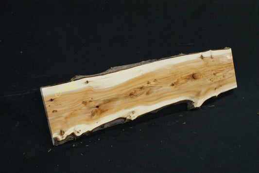 English Yew Shelf. (602)