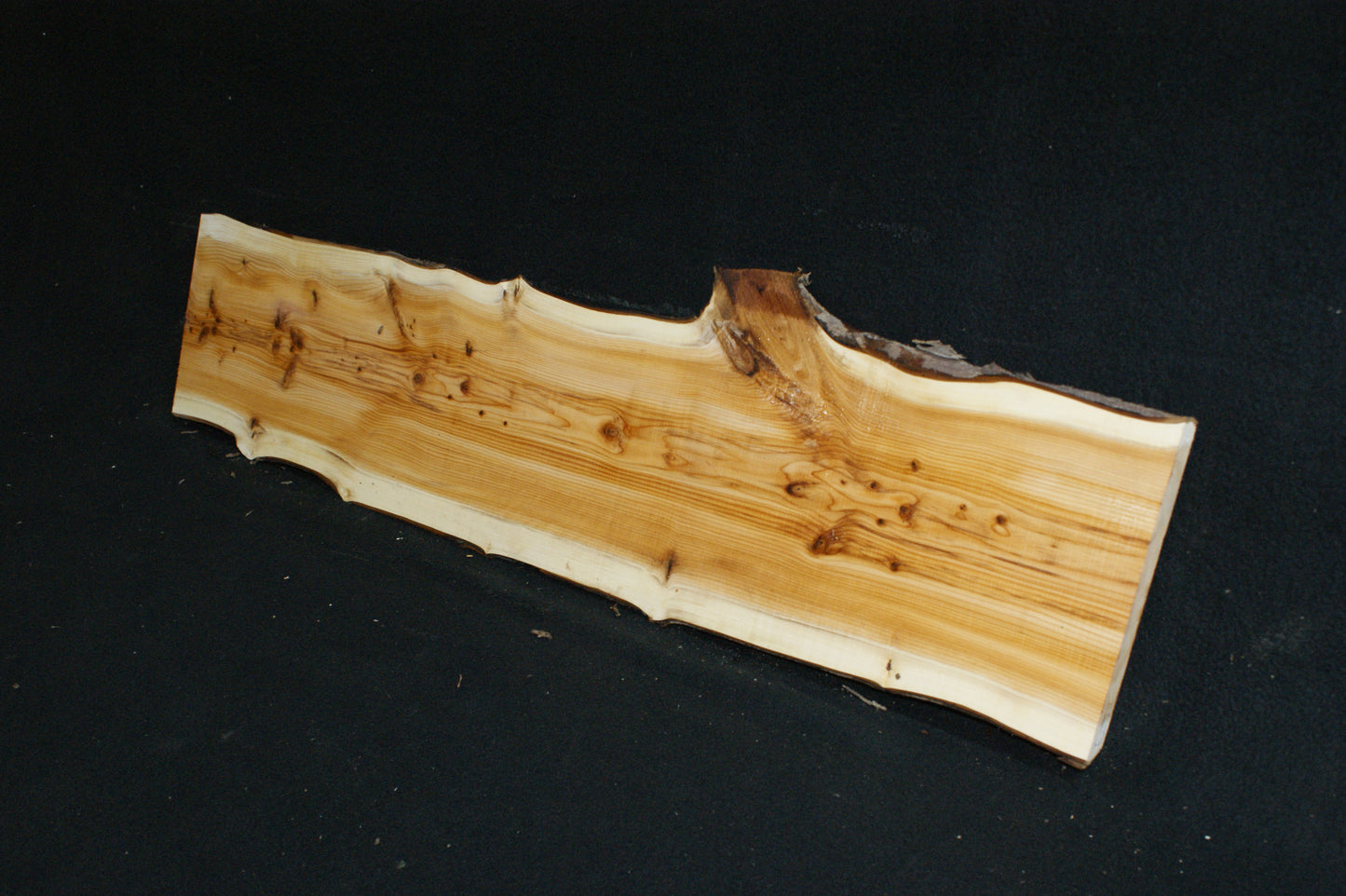 English Yew Shelf. (602)