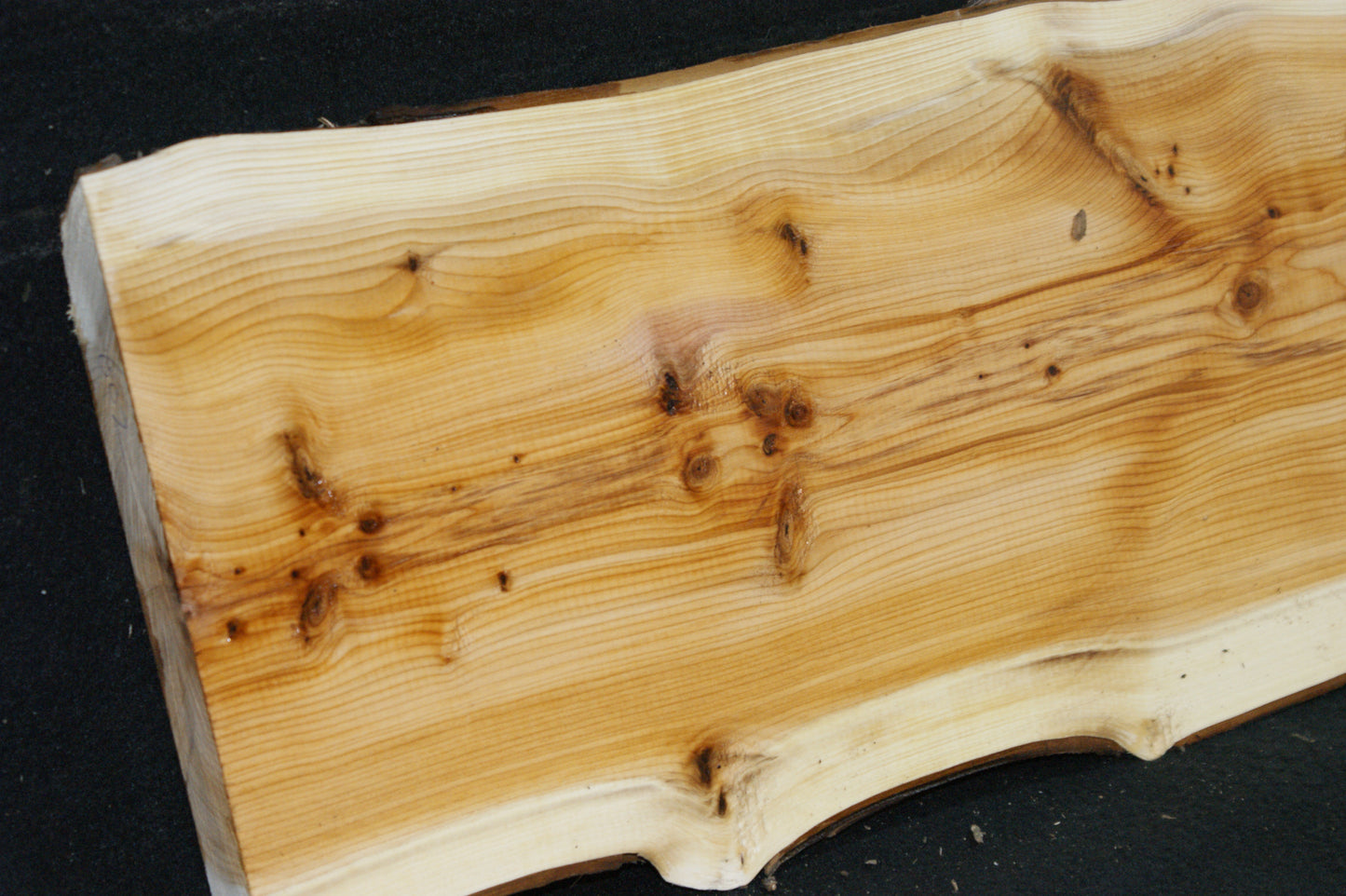 English Yew Shelf. (602)