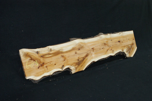 English Yew Shelf. (603)
