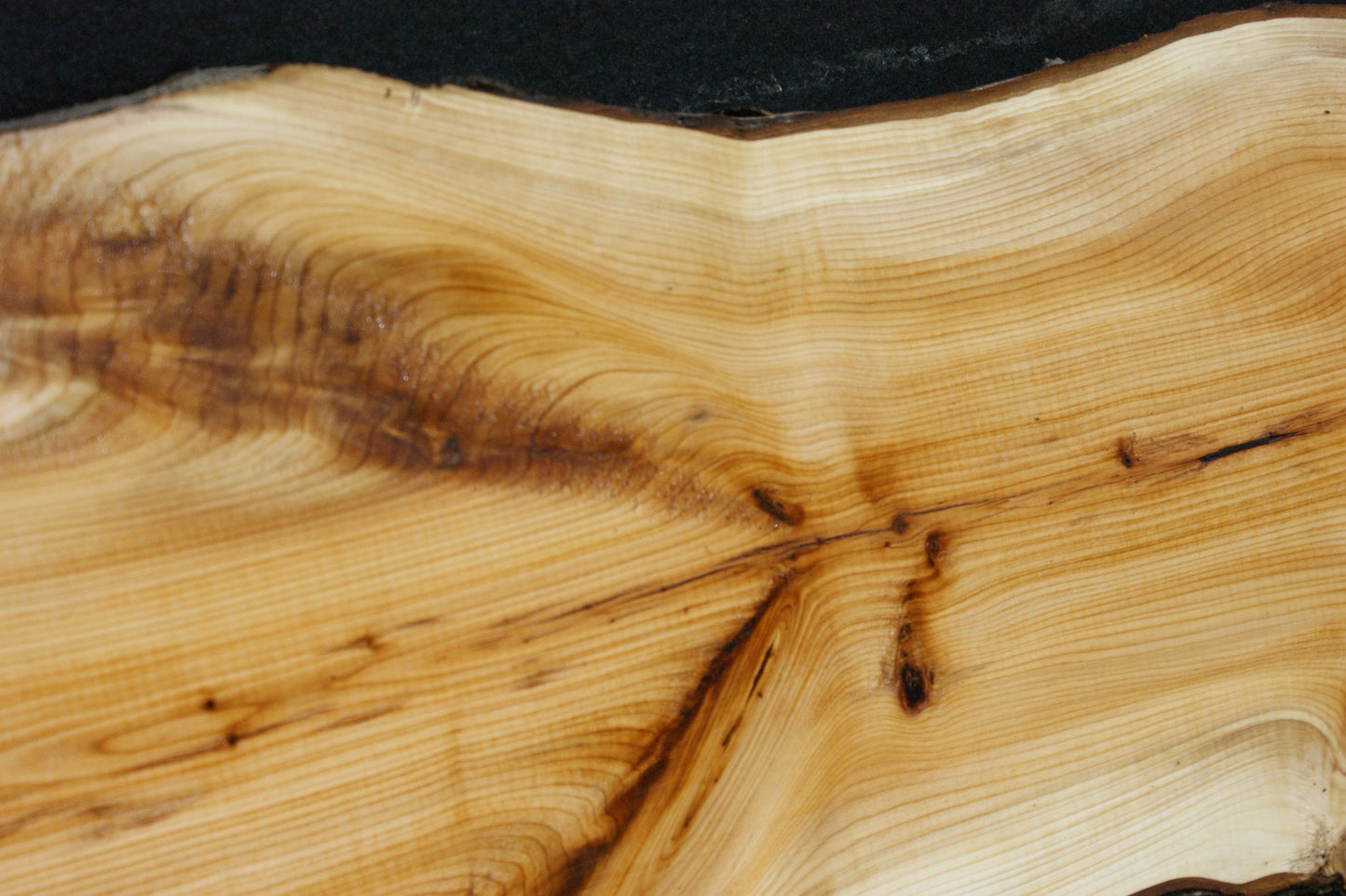 English Yew Shelf. (603)