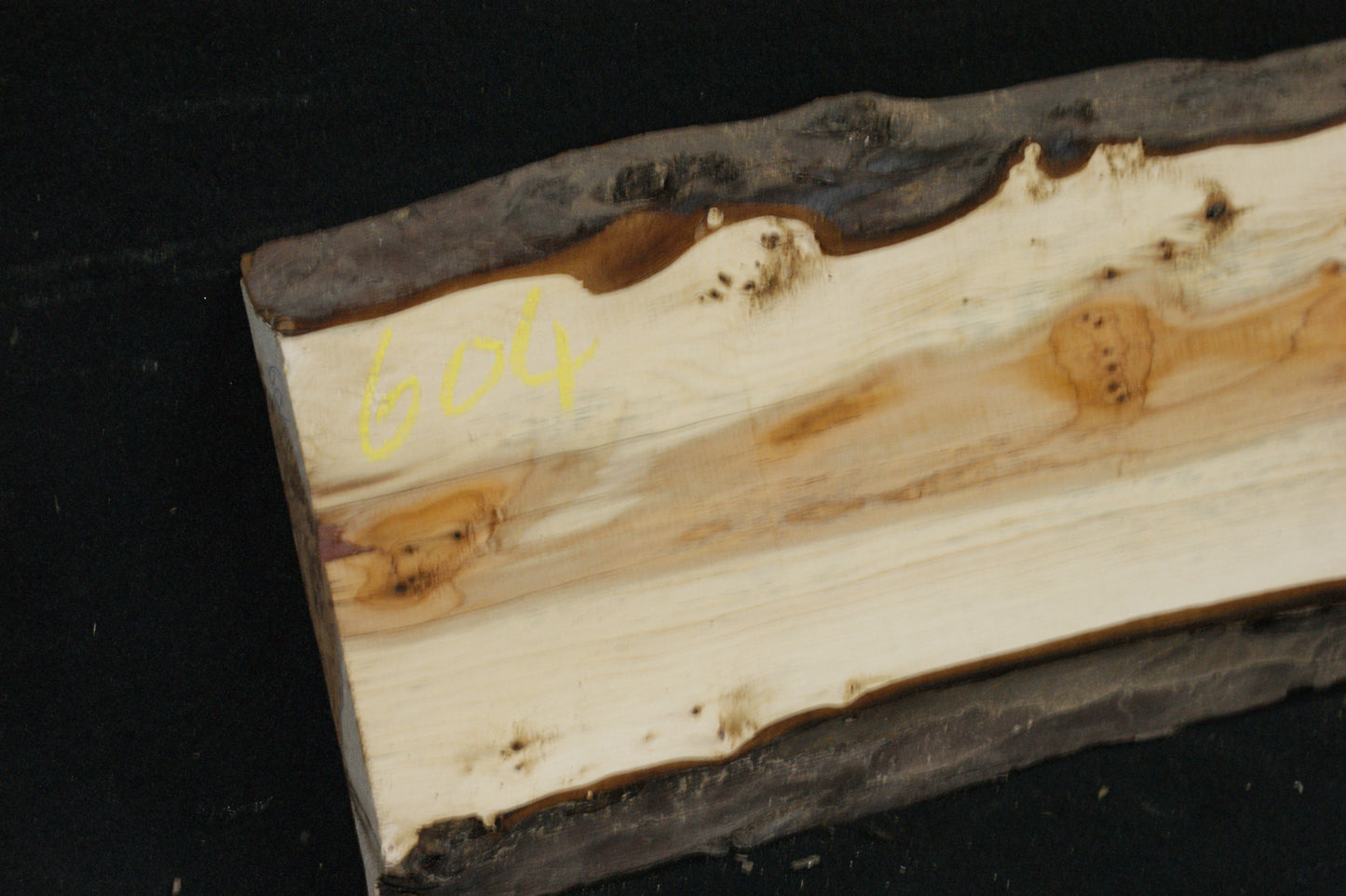 English Yew Shelf. (604)