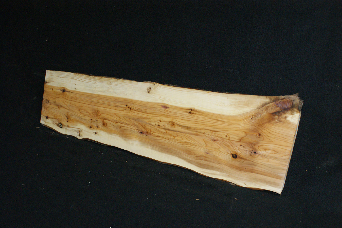 English Yew Shelf. (604)