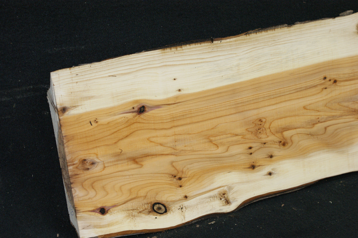 English Yew Shelf. (604)