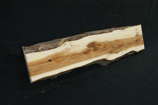 English Yew Shelf. (605)
