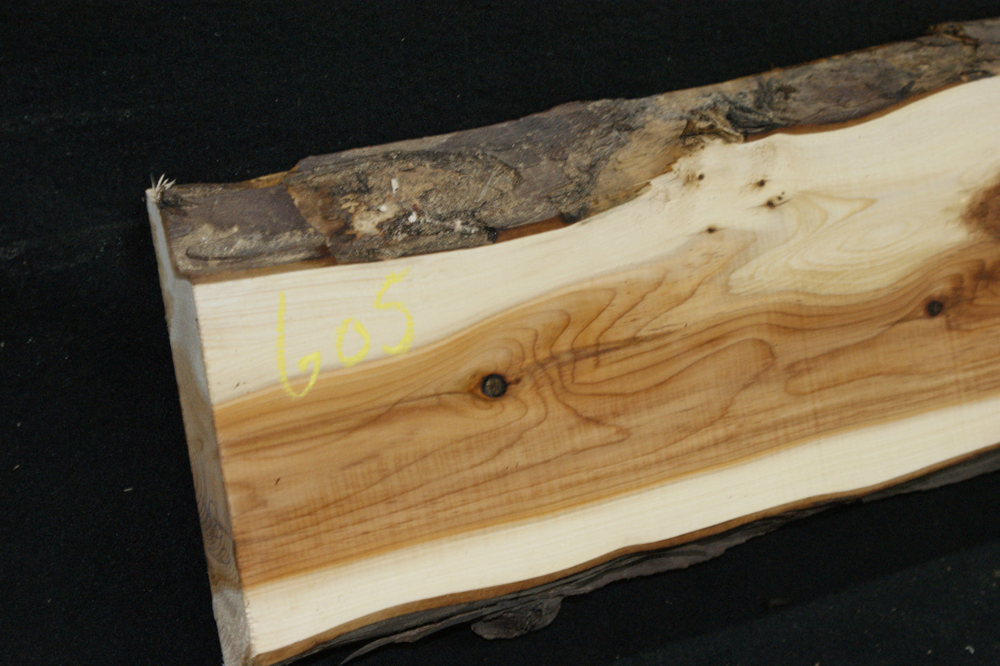 English Yew Shelf. (605)