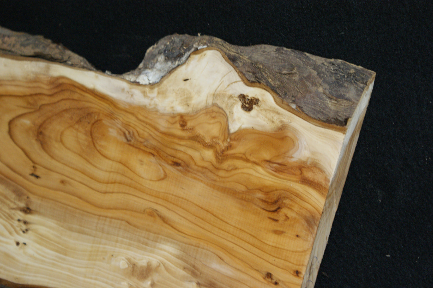 English Yew Shelf. (606)