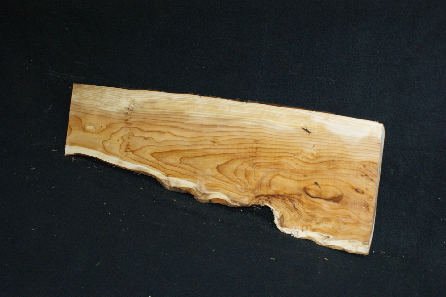 English Yew Shelf. (606)