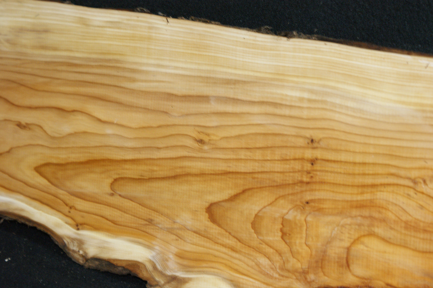 English Yew Shelf. (606)