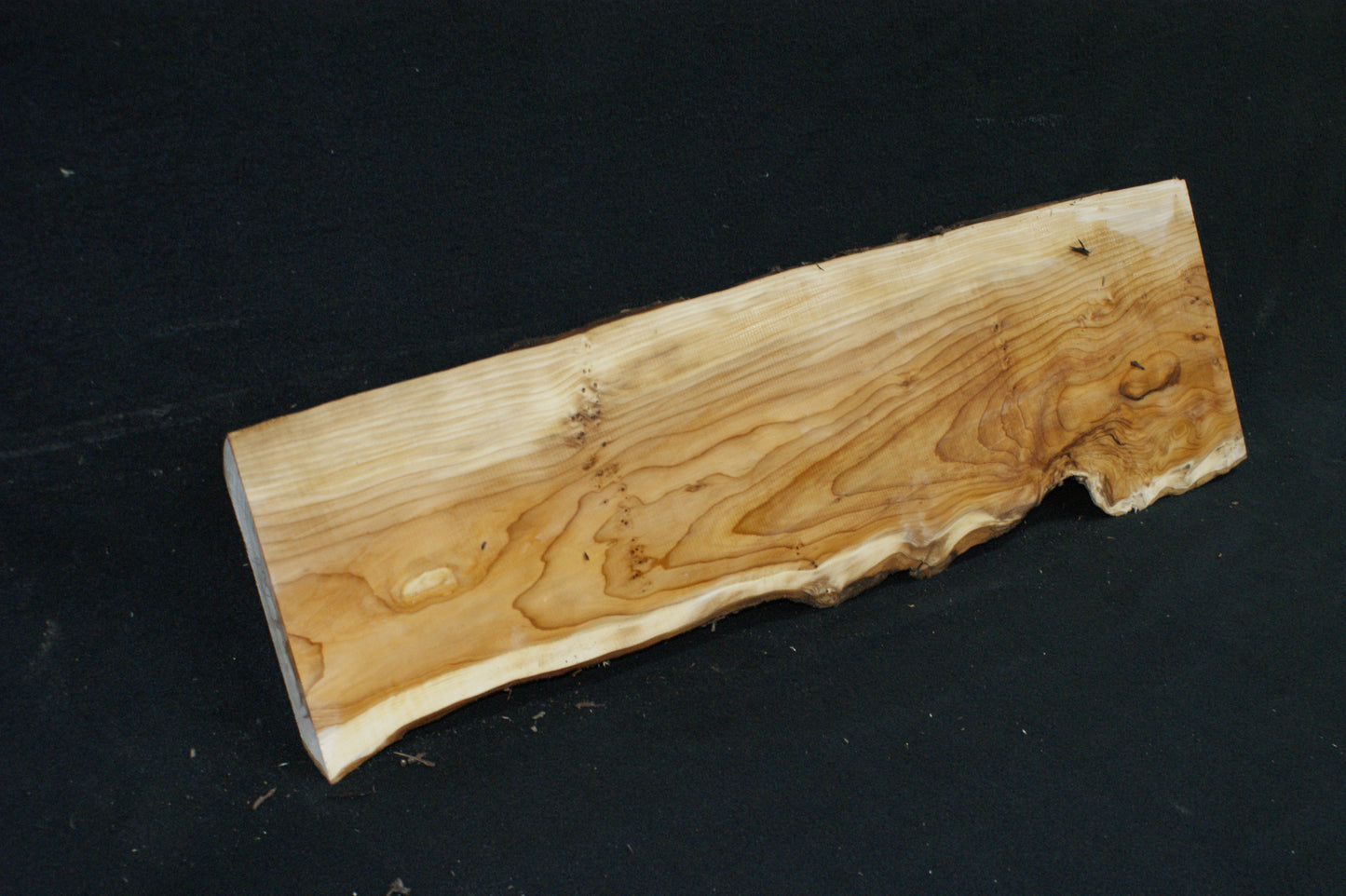 English Yew Shelf. (606)