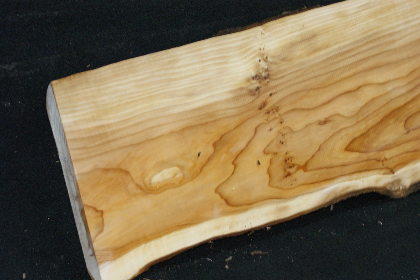 English Yew Shelf. (606)
