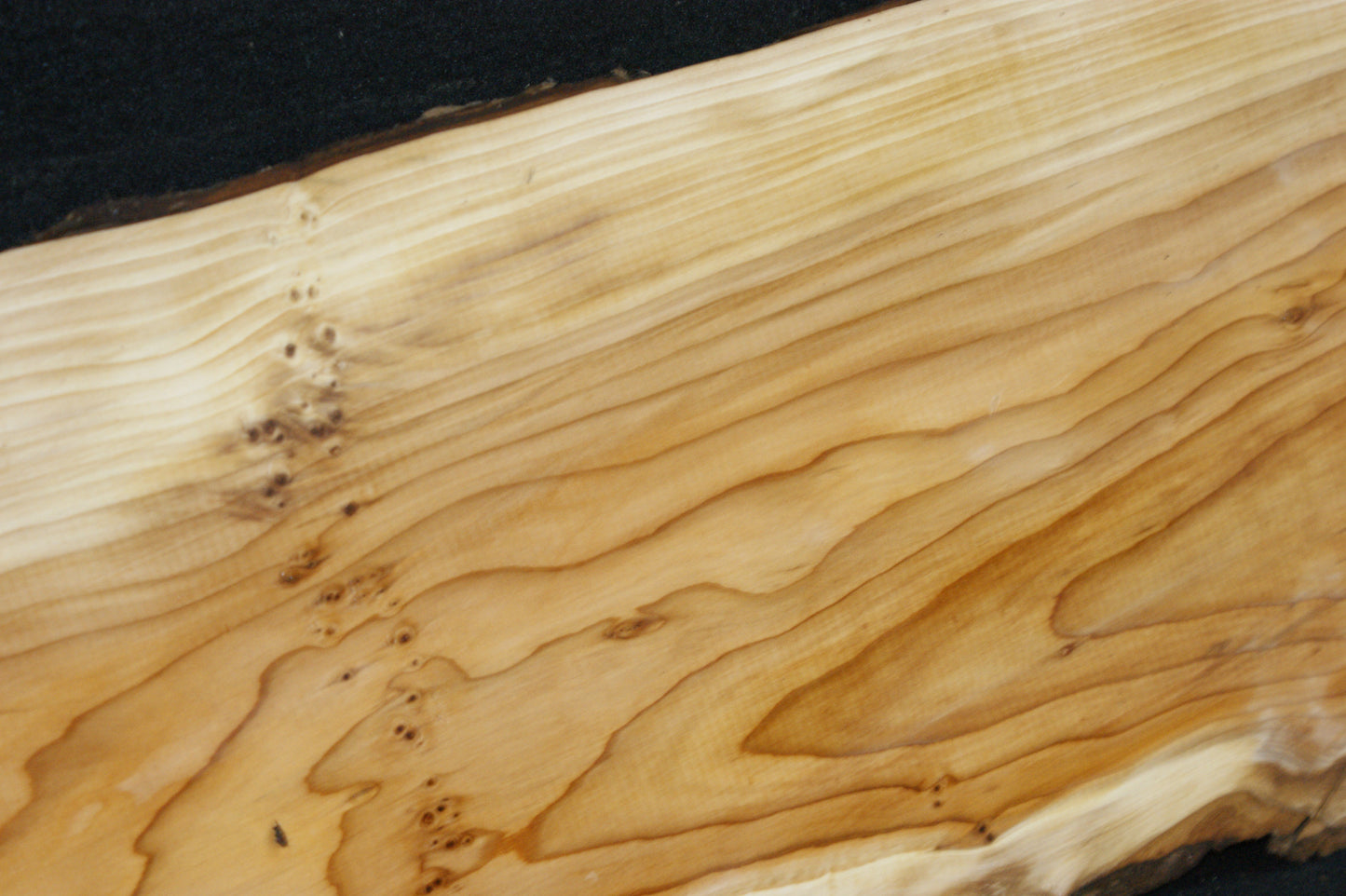 English Yew Shelf. (606)