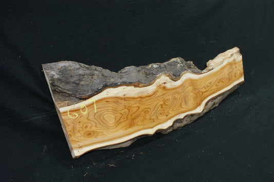English Yew Shelf. (607)