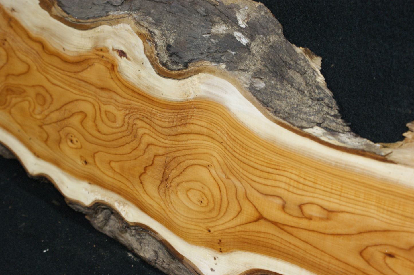 English Yew Shelf. (607)