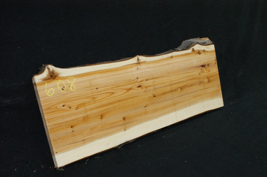 English Yew Shelf. (608)