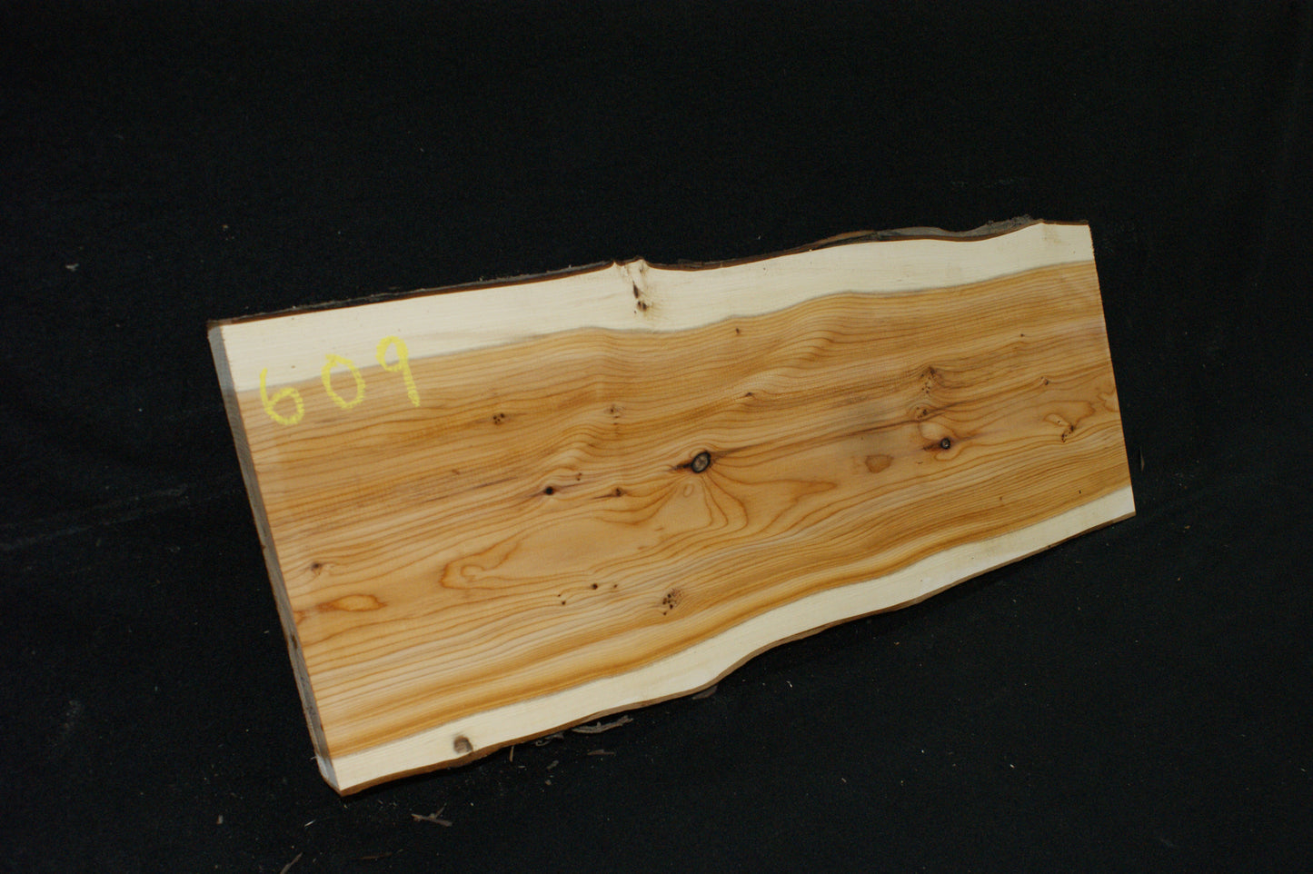 English Yew Shelf. (609)